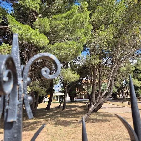Lägenhet Mas De La Vigne Montredon-des-Corbieres