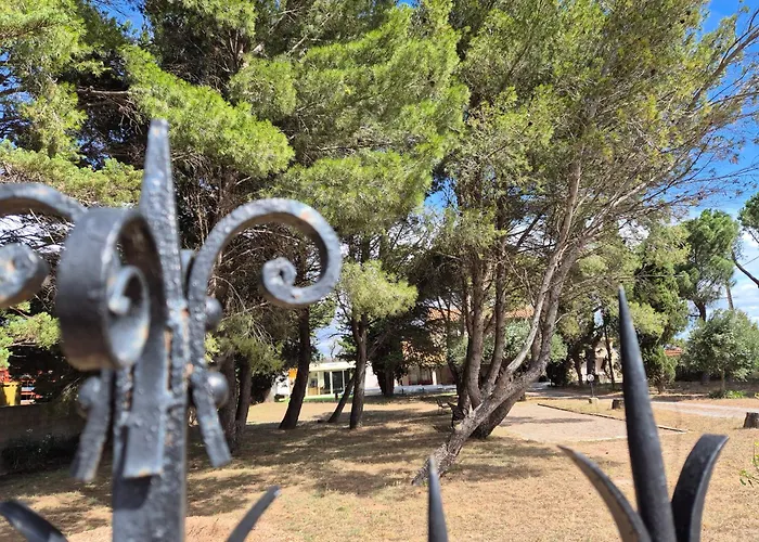 Lägenhet Mas De La Vigne Montredon-des-Corbieres